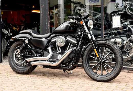 ***MOTO VERTE***