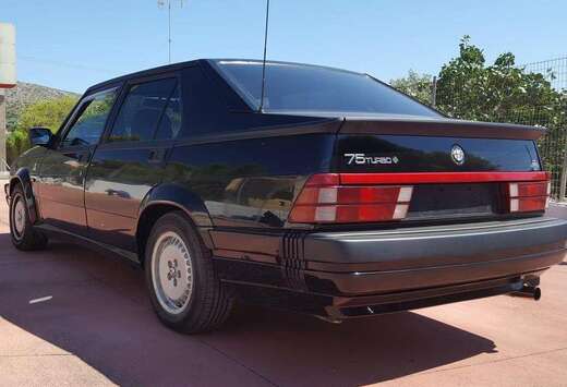 Alfa Romeo Turbo America 1.8