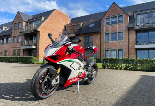 Speciale