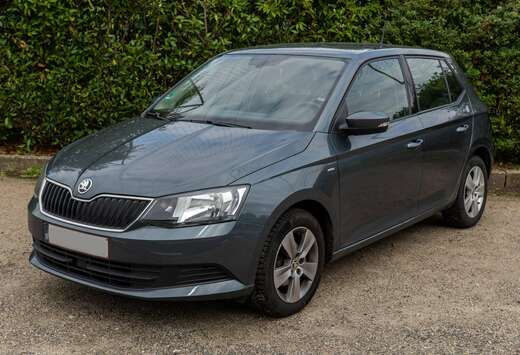 Skoda Fabia 1.0 TSI Ultimate Clever