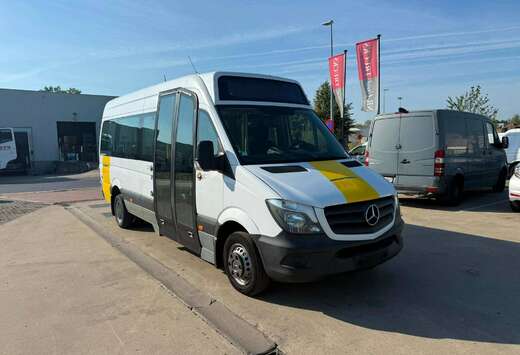 Mercedes-Benz Mb Sprinter 513 (Stock ID 38433)