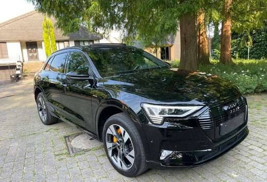 Audi E-Tron 95 kWh 55 Quattro S line PANO*VERW Z*KEYL ...