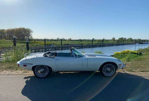 Jaguar Roadster