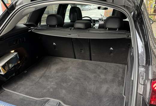 Mercedes-Benz Business Line