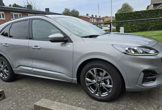 Ford 2.0 TDCi Ecoblue ST-Line / Winterpack / Nieuwsta ...