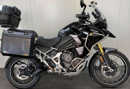 Triumph Rally Explorer