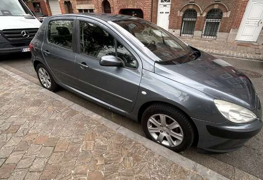 Peugeot 1.6i 16v XS