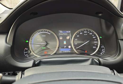 Lexus NX 300h 2.5i AWD Executive Line E-CVT (EU6.2)