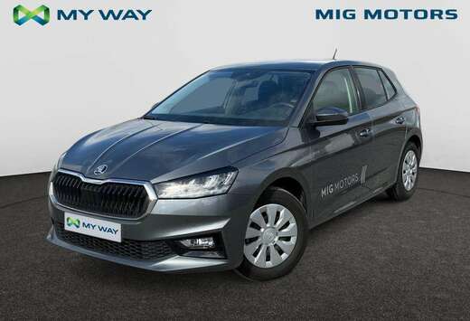 Skoda Corporate 1.0 TSI (115pk) AUTOMAAT /// Achterui ...