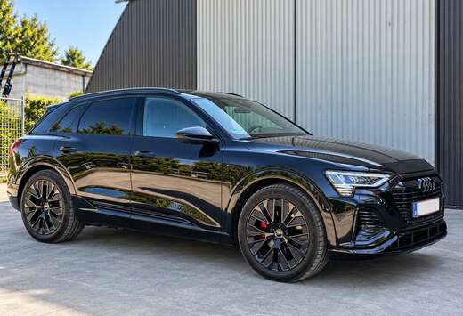 Audi 89 kWh 50 Quattro Competition - Bedrijfswagen