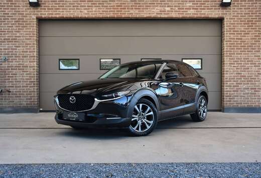 Mazda 2.0i SKYACTIV-X / SKYCRUISE / SCHUIFDAK / 360 C ...