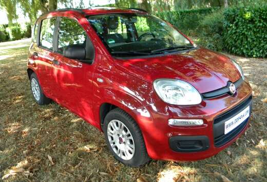 Fiat Panda 1.2i Easy climatisation 21 000 km