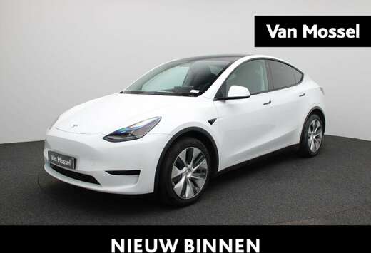 Tesla RWD