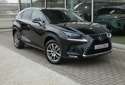 Lexus Hybrid AWD Executive Line +LEDER +TREKHAAK