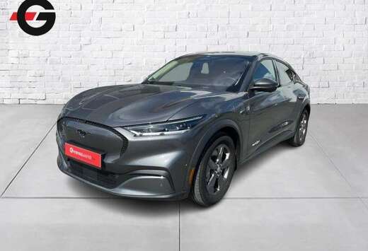 Ford trend rwd 294cv