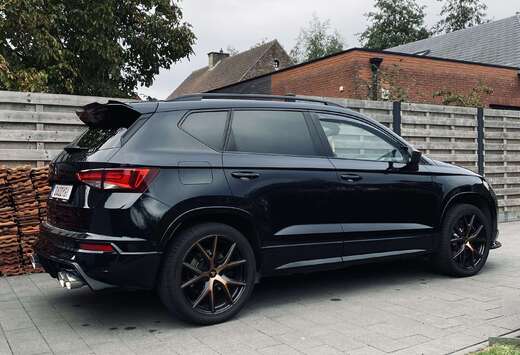 2.0 TSI 4Drive DSG (EU6.2)