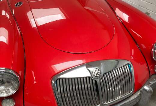 MG