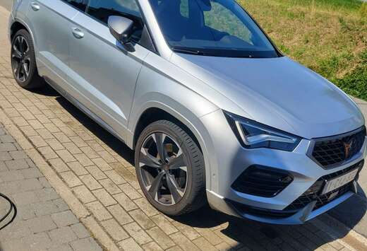 2.0 TSI 4Drive DSG