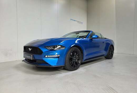 Ford Cabrio 2.3 Ecoboost Benzine Autom. - Topstaat! . ...