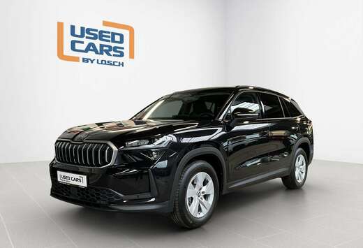 Skoda Selection+DSG+SUITE+Light&View+AHK