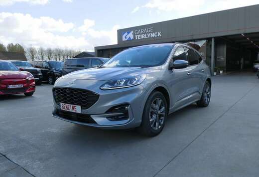 Ford ST-Line 1.5 i 150pk ACC BLIS Trekhaak \'20 81000 ...