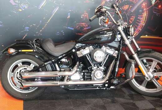 Cruiser STANDARD