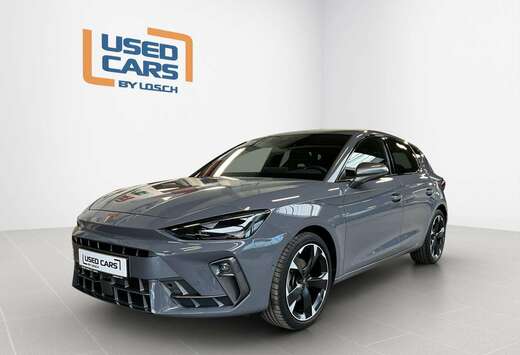 DSG+Dinamica+Pure-Perf.+Int.-Drive