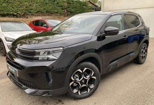 Citroen Plus - Mild Hybrid