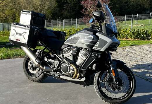 Special 1250 Limited
