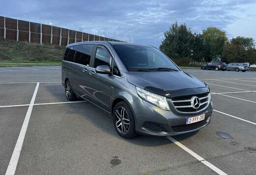 Mercedes-Benz d MWB Avantgarde