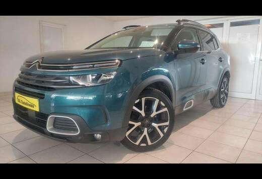 Citroen 1.5HDi 130cv Vert 11/19 Airco GPS Bluetooth C ...