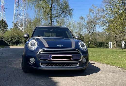 MINI Seven chili edition speciale