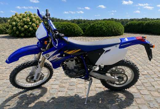 WR450F