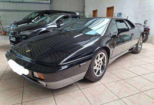 Lotus