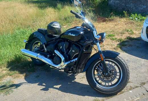 iindian scout