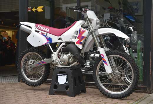 ***MOTO VERTE***