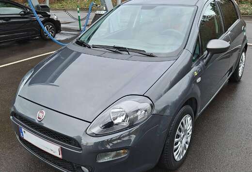 Fiat Punto 1.2i Young