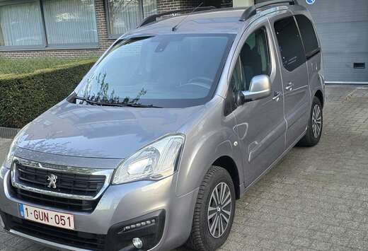 Peugeot Tepee 1.6i Active