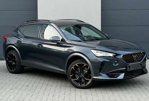 Formentor 2.0 TSI 4Drive VZ DSG