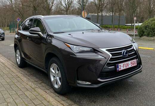 Lexus NX 300h 2.5i AWD Executive Line E-CVT
