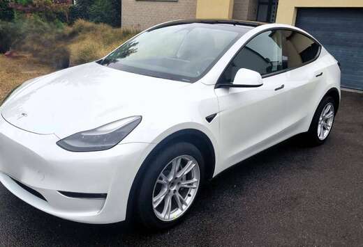 Tesla Model Y 72.5 kWh Dual Motor LR(514 PK) - TREKHA ...