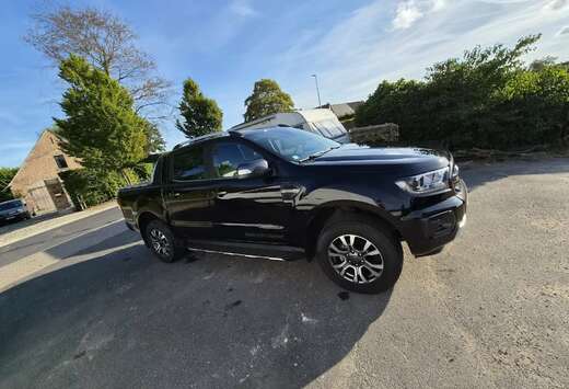 Ford 2.0 BiT EcoBlue Wildtrak (EU6.2)