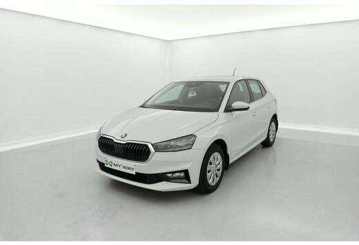 Skoda 1.0 TSI Clever