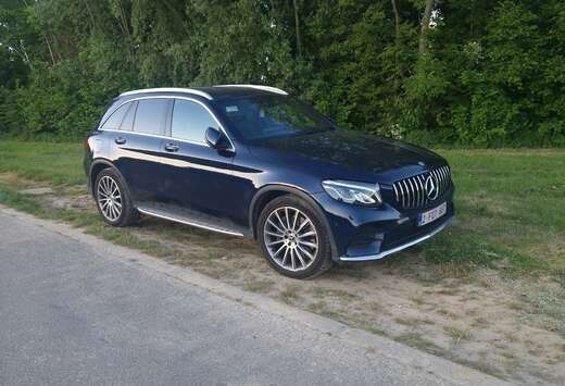 Mercedes-Benz d 4-Matic Business Solution