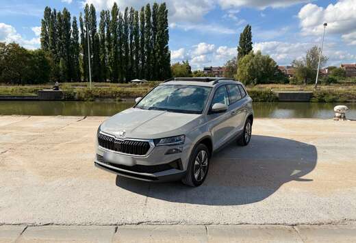 Skoda 2.0 TDi Clever+ DSG | 15.500 € HTVA | Export