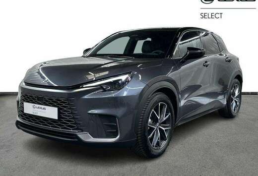 Lexus Cool