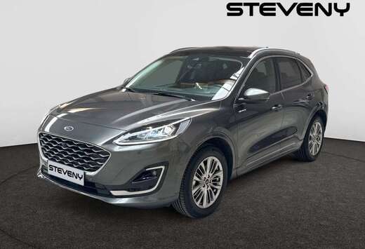 Ford Vignale 2.5 190cv FHEV