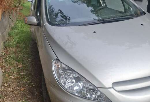 Peugeot SW 1.6i 16v XS