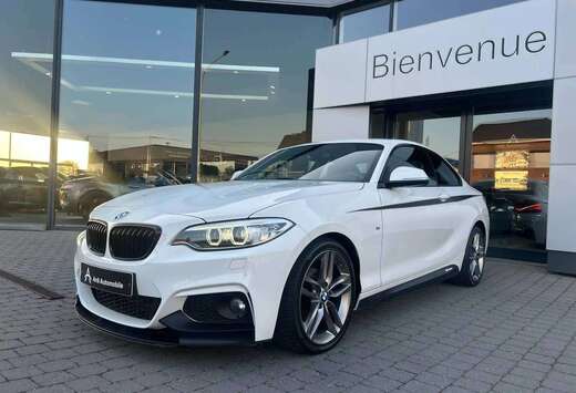 BMW Coupé PACK M PERFORMANCE *GARANTIE*FULL ALCANTAR ...