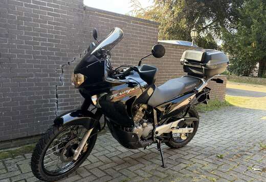 Honda 650